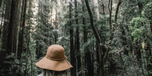 les vestes en jean pour femme