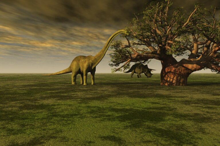 Pourquoi opter pour un pull dinosaure en hiver ?