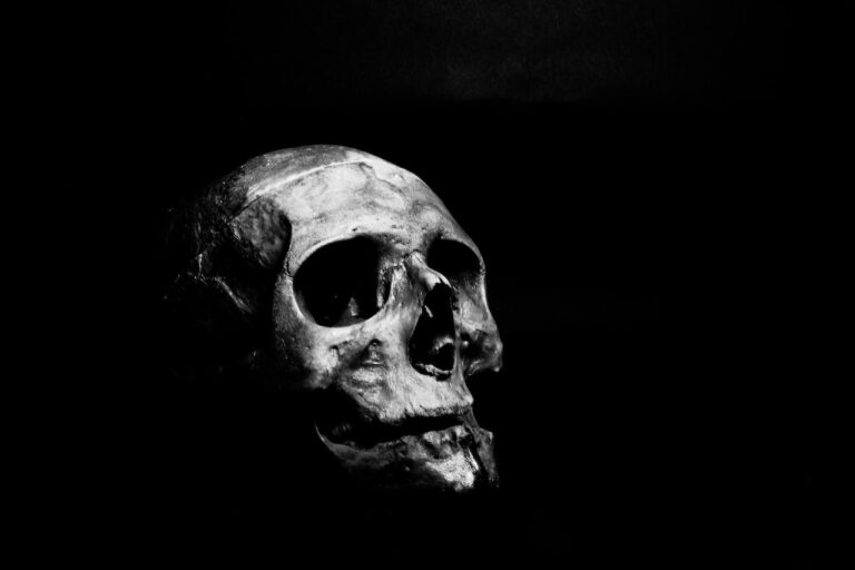 la tête de mort dans la mode